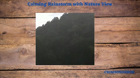 Calming Rainstorm with Nature View
