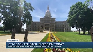 Michigan Senate back in session Thursday