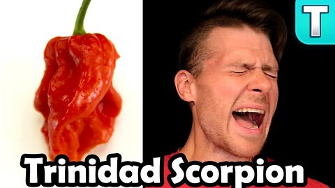 Trinidad Moruga Scorpion: Tasting the Hottest Peppers Ep.1