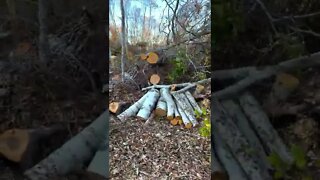 Hurricane Fiona Destruction in PEI Trails