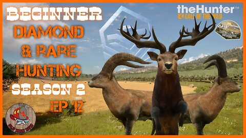 TheHunter: Call of the Wild - Beginner DIAMOND & RARE Hunting Ep 42