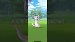 Shiny Dratini