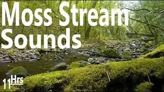 Sounds of Water Flowing Moss Stream - Relax, Focus, Work, Study, DeStress, Soothe Baby, PTSD -11 hrs