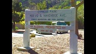 360 view Cypress park 2021