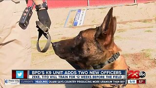 BPD's K-9 Unit adds two new pup officers to their unit