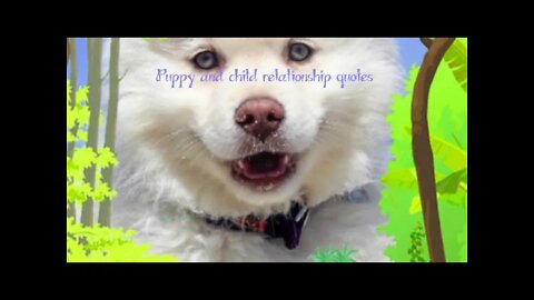 🐶 Doggy little youngster relationship quotes, #Shorts, #Puppy, #relationship, #young child, #animal