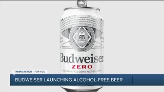 Budweiser launching alcohol-free beer