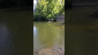 old foundation of bridge on beautiful river.