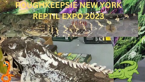 Poughkeepsie,NY, Reptile Expo 2023