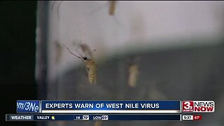 Experts warn of West Nile Virus