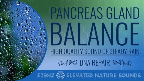 Pancreas Gland Balance 528Hz Solar Plexus DNA Healing Steady Rain