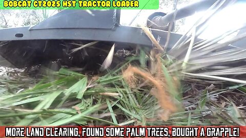 Bobcat CT2025, More land clearing, bush hogging, momma falling, Palm trees and trails.