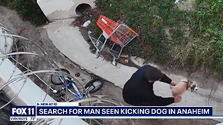 California Animal Abuse Suspect Seen Kicking Puppy Being Sought