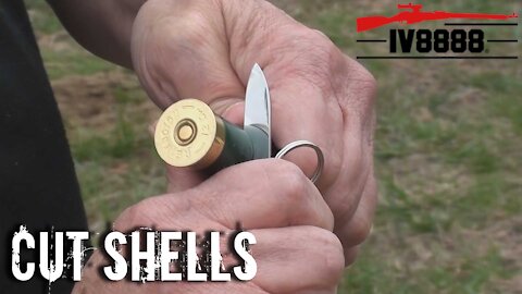 The Lost Art of Cut Shells