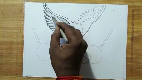 how to draw a pigeon and rose flowers with pencil sketch