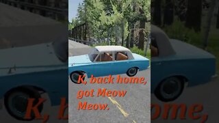 Grandma saves run away Cat!