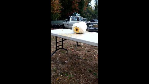 44 magnum vs pumpkin