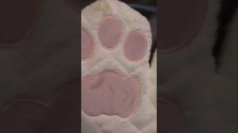 Cat Paw Oven Mitts #Shorts 😻