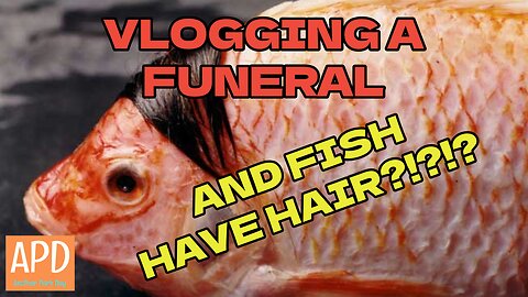 Vlogging a Funeral and Fish Have Hair?!?!?