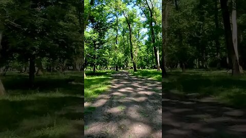 Calugareni Forest | Calugareni, Giurgiu | Ambiental music | 4k Virtual Tour | 🇷🇴