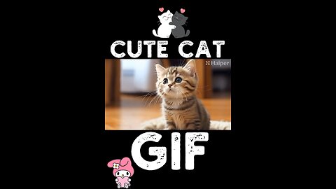 Cute Cat Gif