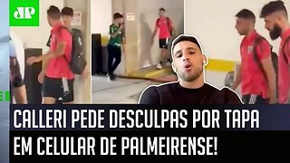 SE MANIFESTOU! OLHA o que Calleri FALOU após DAR TAPA em CELULAR de palmeirense no Allianz Parque!