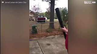 Ces deux frères jouent au basket avec un souffleur de feuille