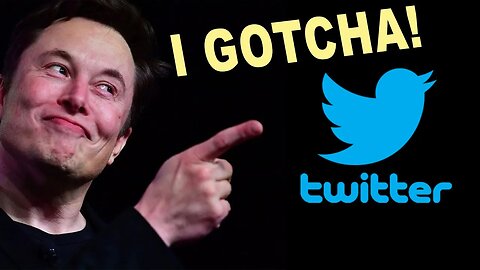 Elon Musk SpaceX Starlink Tesla And Now Twitter
