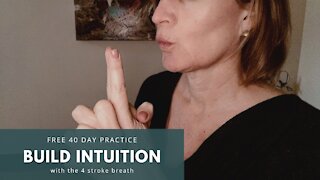 40 Day Challenge to Build Intuition