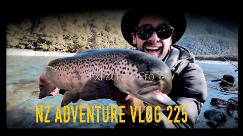 CRAZY LOOKING TROUT New Zealand ADVENTURE VLOG 225 Camping in a storm Josh James family and friends