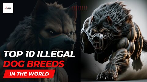 10 DEADLY Dog Breeds You WON'T BELIEVE Are BANNED!