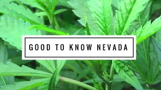 Good to Know Nevada marijuana campaign addresses child safety