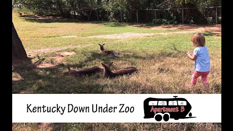 Kentucky Down Under Zoo Full Time RV