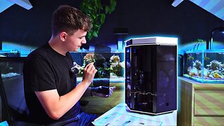 This Robot Tests my Aquarium Water AUTOMATICALLY - Reef Kinetics ReefBot Lab