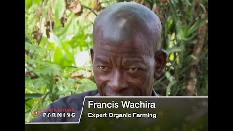 He does organic farming and still gets maximum output - Horticulture