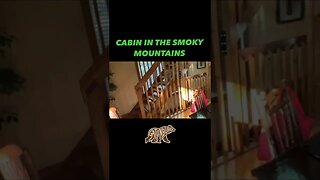 Cabin Tour in Gatlinburg, Tennessee #shorts