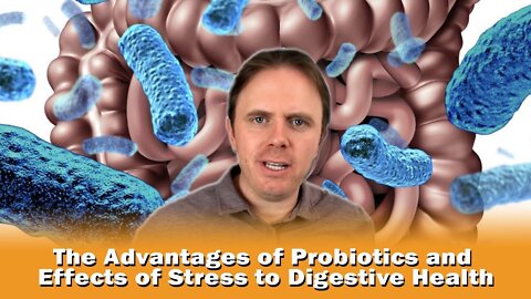 The Advantages of Probiotics and Effects of Stress to Digestive Health
