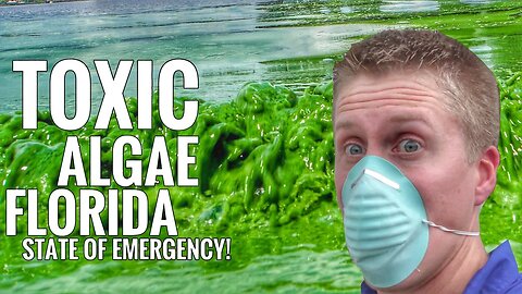 Florida State Of Emergency: Toxic Blue/Green Algae?
