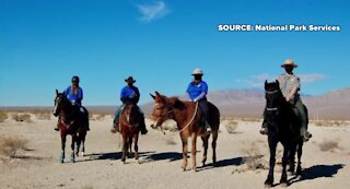 New horse patrol at Tule Springs in Las Vegas