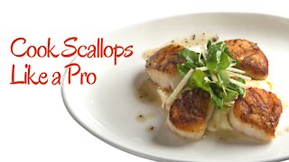How to cook scallops like a professional chef