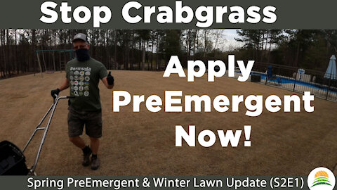 Spring PreEmergent & Winter Lawn Update ☀️ (S2E1)