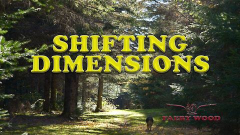 SHIFTING DIMENSIONS