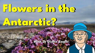 Flowers in the Antarctica?! #flowers #antarctica #biology