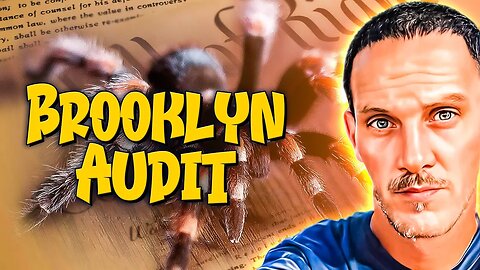 | Brooklyn Audit | First Amendment Auditor | Benny & Steve Show News and Entertainment Podcast