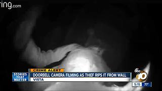 VIsta thief targets Ring doorbell camera