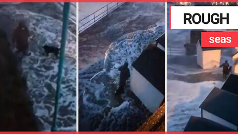 Terrifying moment dog walker gets smashed by huge waves crashing over sea wall in storm