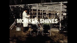 Mutual of Omaha's Wild Kingdom - "Monkey Shines"