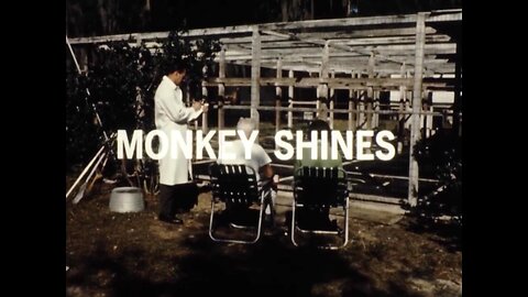 Mutual of Omaha's Wild Kingdom - "Monkey Shines"