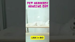 Pet Hammock Hanging Cat