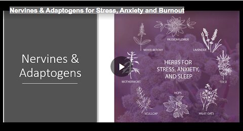 Nervines & Adaptogens for Stress, Anxiety and Burnout